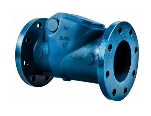 Swing check valve — studio photograph